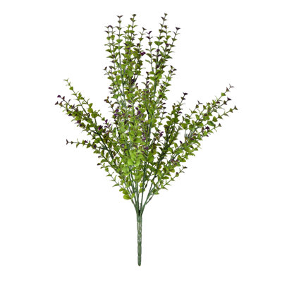Forêt de brousse