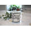 Mon Amour Bone China Coffee Mug
