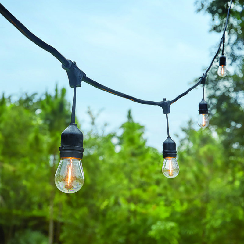 Outdoor 12 - Bulb 240'' Plug-in LED String Light