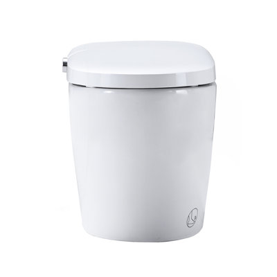 Combo intelligent pour bidet de toilette avec buse autonettoyante