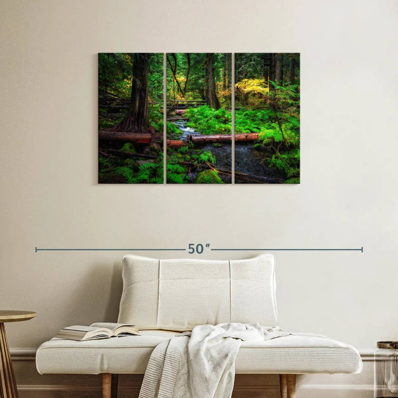 Ruisseau Alvord Willamette National Forest, H 24 po x l 38 po