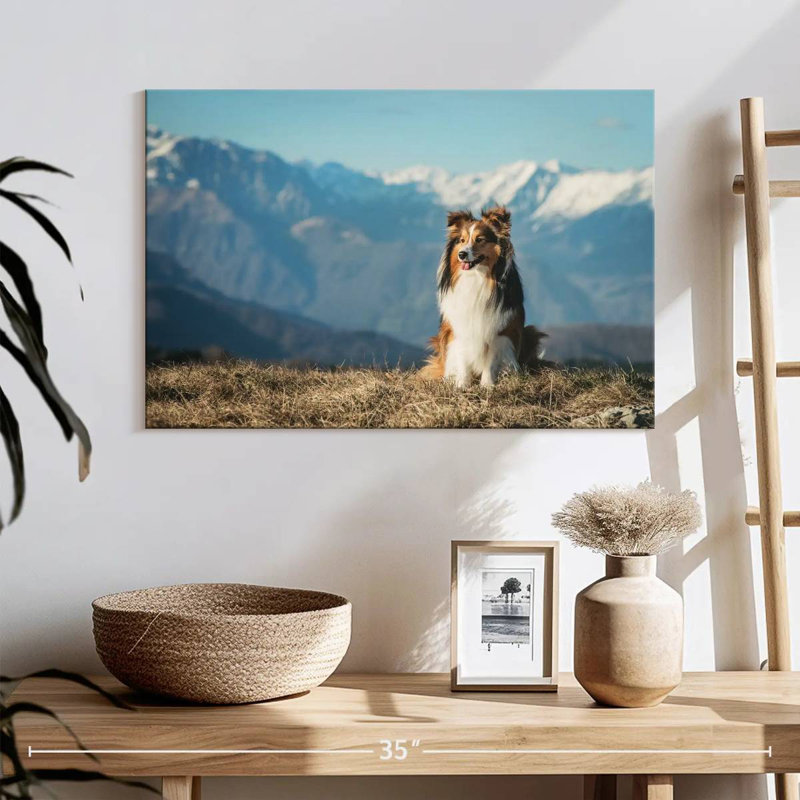 Brampt Shetland Sheepdog, 16" H x 24" W