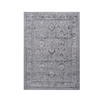 Collection Grey / Oriental Area Rug