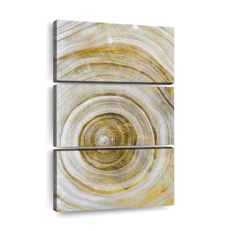 Abstract Tree Rings Abstract Geometric On Canvas 3 Pieces Set, 38" H x 24" W x 1.25" D