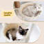 78cm H Cat Tree-1074774874