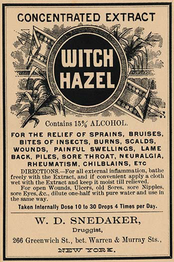 " Witch Hazel "