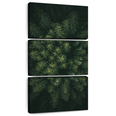 Dark Pines