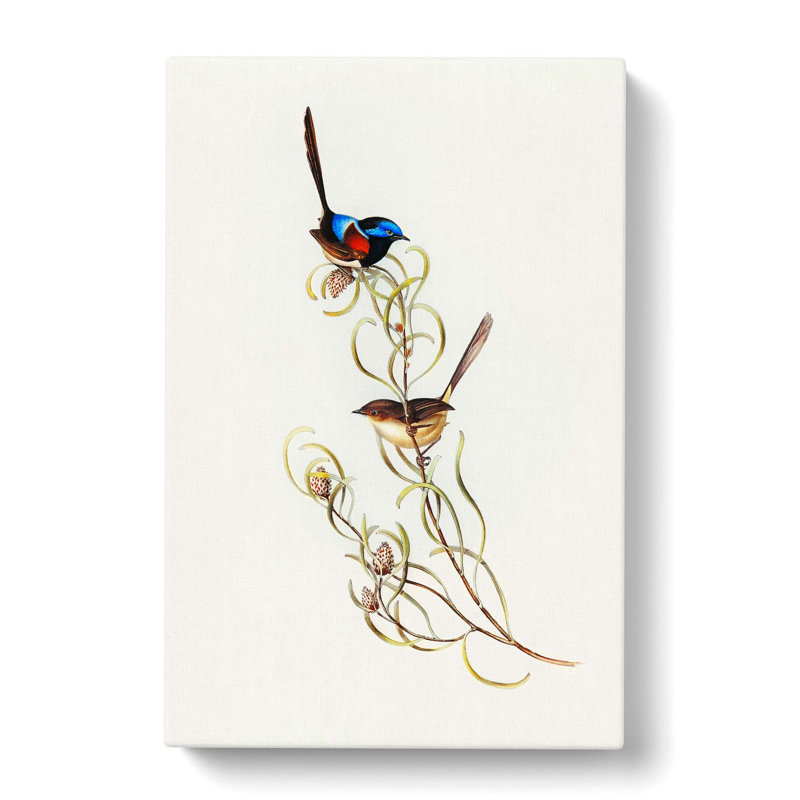 Graceful Wrens by Elizabeth Gould - Wrapped Canvas Painting, 50cm H x 35cm W x 3cm D