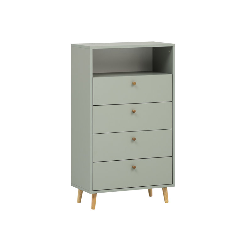 McDermitt Rectangle Storage Unit Accent Chest, Green