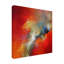 Toile tendue - Cody Hooper «Fly Away», art mural pour salon, chambre à coucher ou bureau - 18 x 18