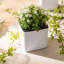 Self-Watering Planter Box-88745947