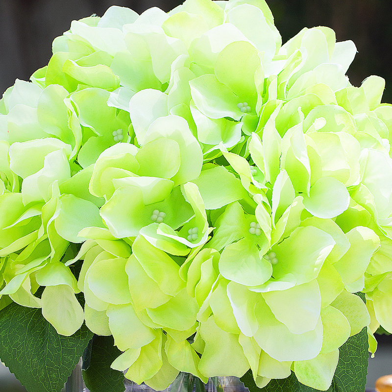 Hortensias en vase, Vert