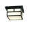 2 - Light Flush Mount