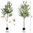 72'' Faux Olive Tree Tree in Pot