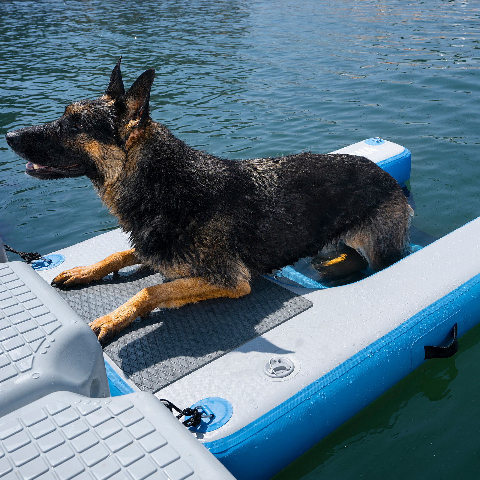 Dog Pool Safety Ramps Dog Boat Ramp Inflatable Dog Dog Pool Safety Ramp Inflatable Dock, Load ...