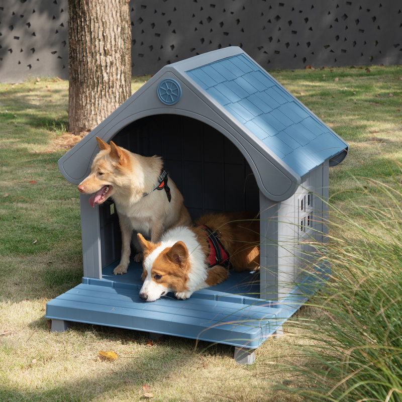 Portable Dog House