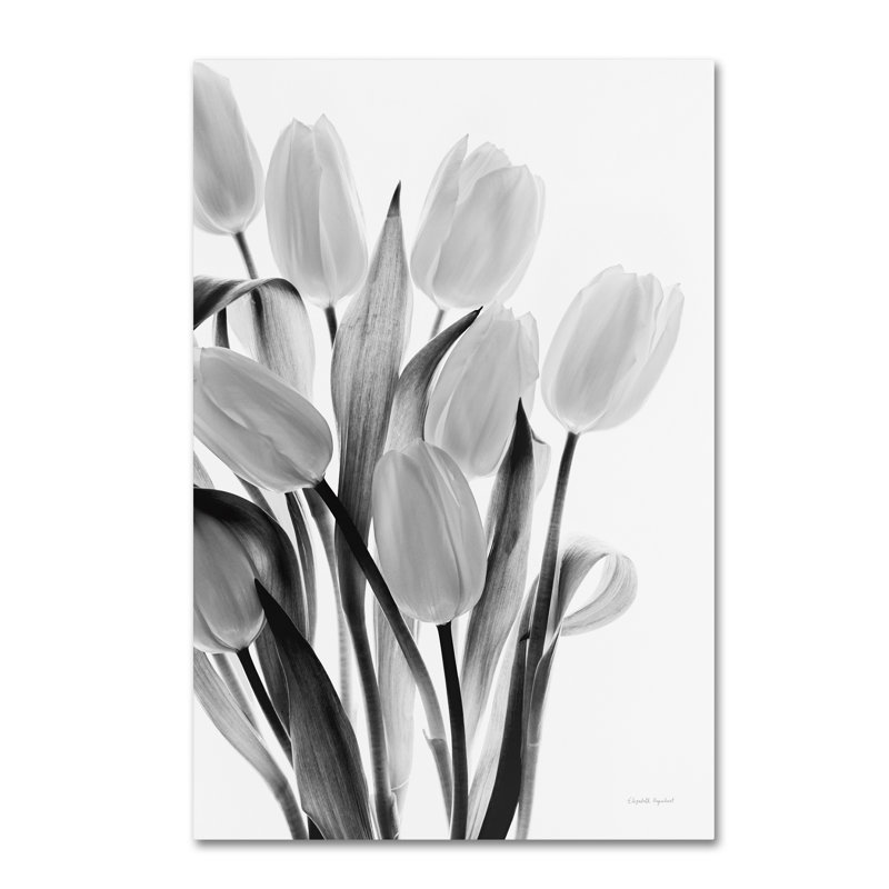 Davlin «Shadows and Light II», impression sur toile tendue, H 24 po x l 16 po