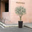 Olive artificielle résistante aux rayons UV avec grand pot de fleurs, olivier artificiel pour la décoration extérieure-1274532125-1268355004