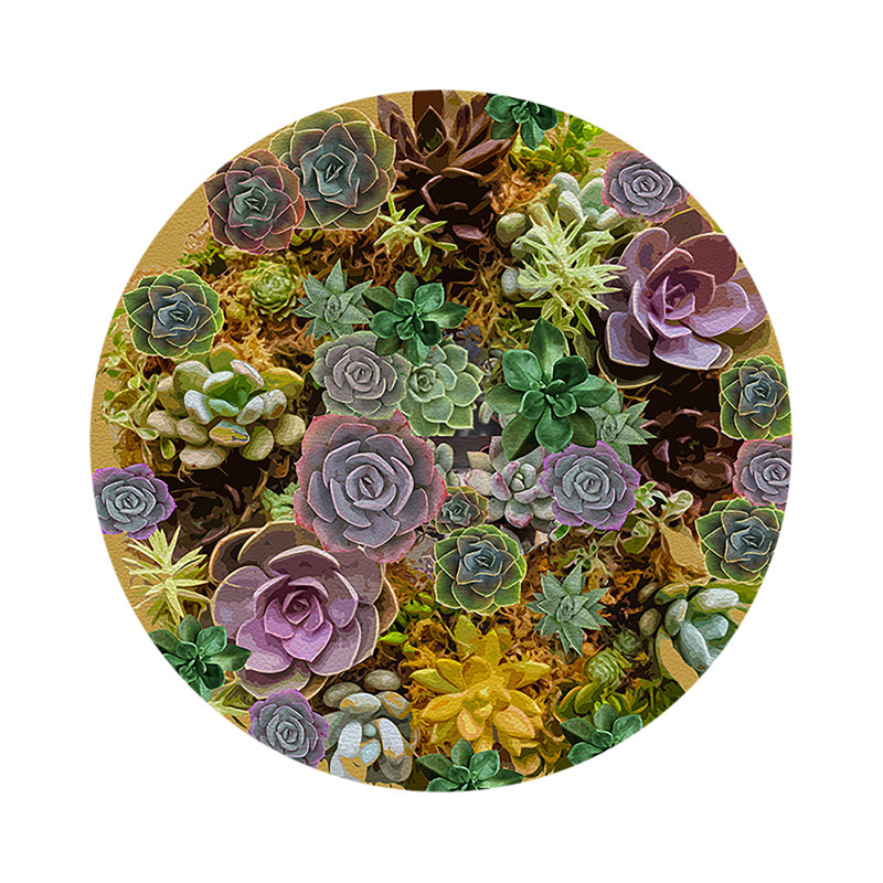 Succulents Evergreen Vegan Leather Round Coasters, Gold