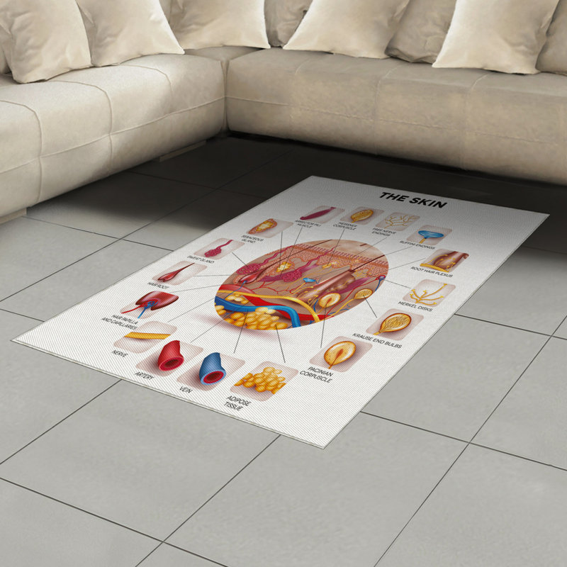 Tapis décoratif en fibre de polyester à haute densité, Rectangle— 4 pi x 5 pi 8 po