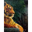 Tigre royal du Bengale | Peinture à l'huile sur toile par Arun Kumar