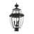 Allianora Transparent Lantern Head