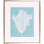 Monochrome Tulip V Print by Goldberger