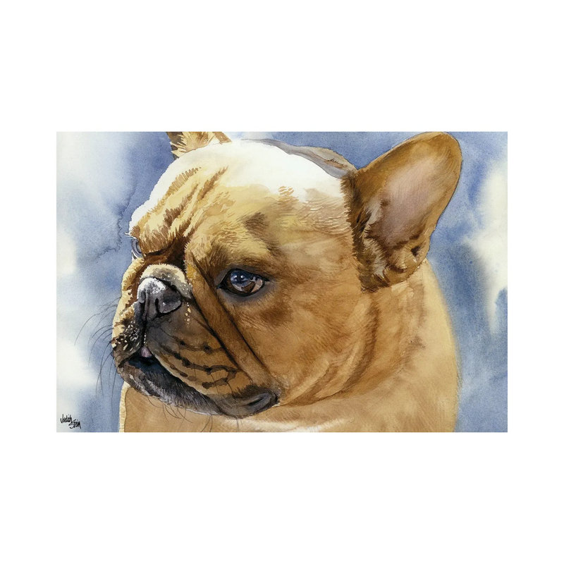Fawn Frenchie - French Bulldog by Judith Stein - Wrapped Canvas Painting, 20.32cm H x 30.48cm W