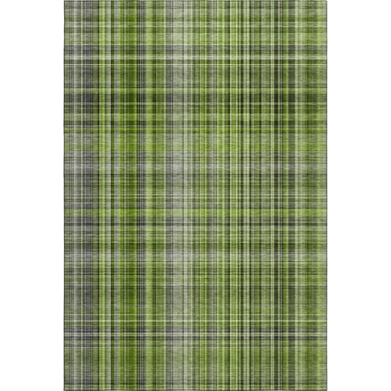 Premium Machine Washable Cerrito AMF541 Green Rug, Rectangle 9' x 12'