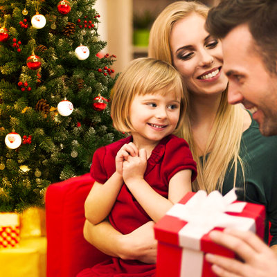 Ensemble d'ornement boule de Noël 12 pièces