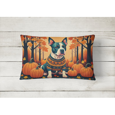 Other/No Pattern Outdoor Throw Pillow
