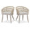  Chaises de patio pour l'extérieur avec coussin et rotin PE toutes saisons