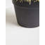 30cm Faux Cactus Plant in Pot