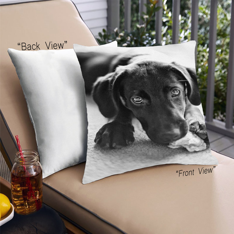 Coussin Dogs Dogs 43, Synthétique