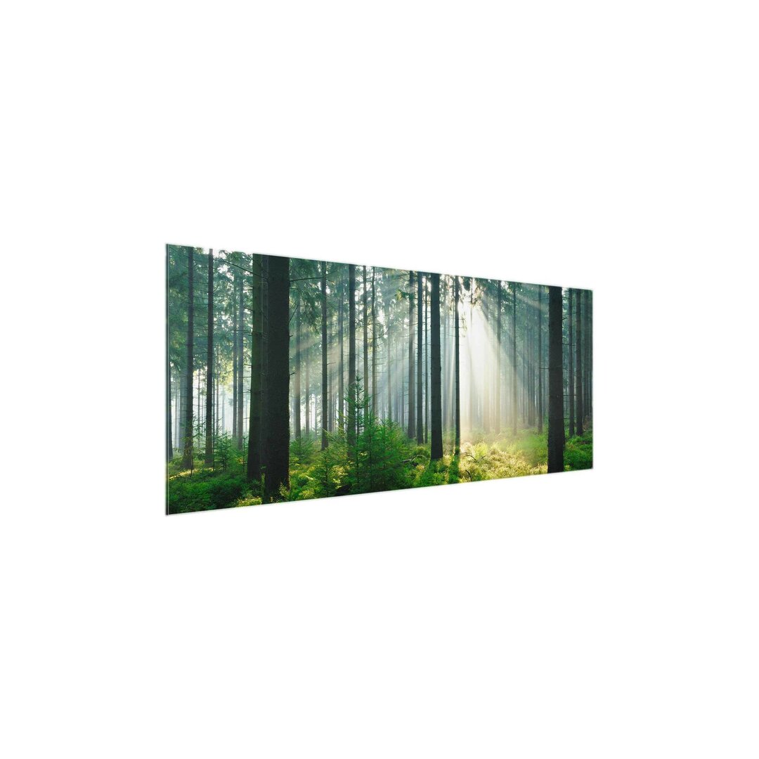 Glasbild Erleuchteter Wald