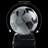 Glass Paper Weight