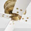 Downrod Ceiling Fan-611975813