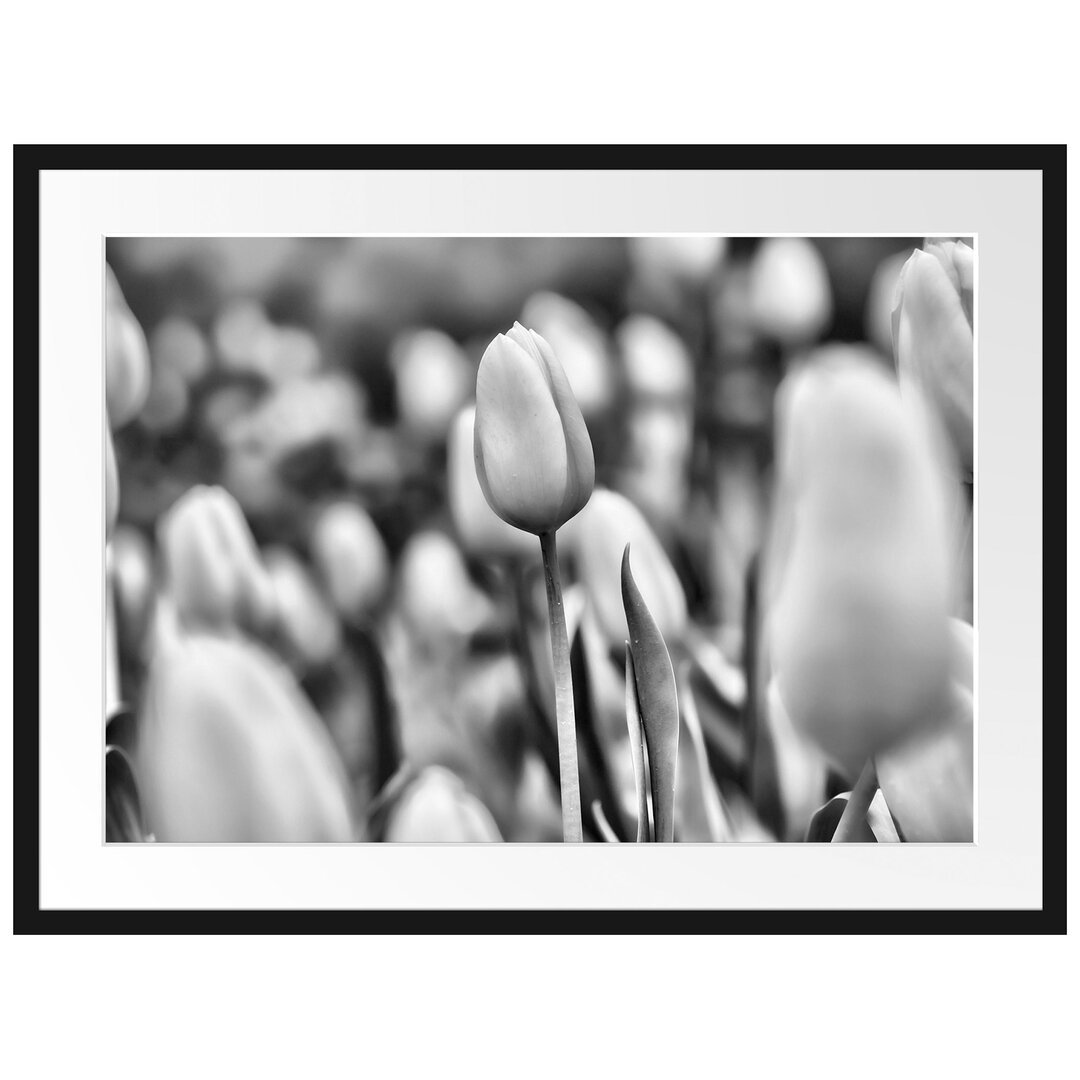 Gerahmtes Poster Gelbe Tulpen im Frühling