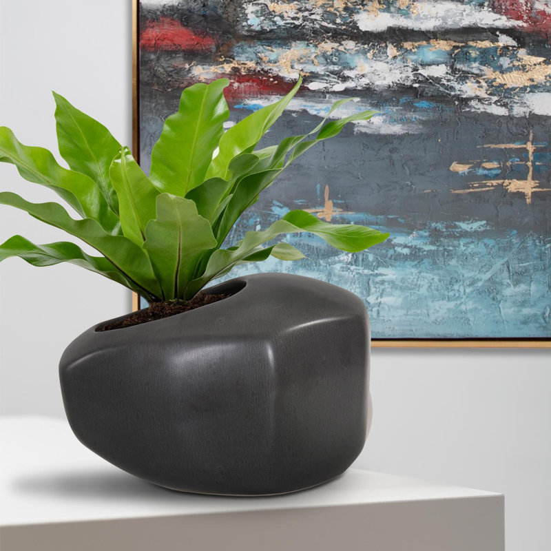Vase Alamo gris - petit, H 4,75 po x l 8 po x P 5,5 po