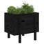 Meenakshi Wood Raised Garden Bed-1774958731-1774958770-1774958768