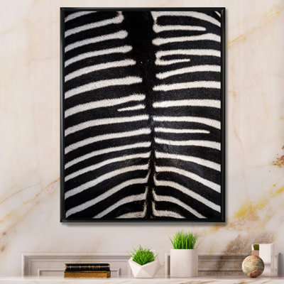 Zebra Skin " Zebra Skin "
