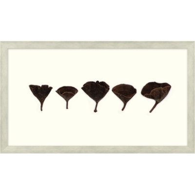 Calice Mushrooms Print