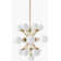 Dharam Chandelier
