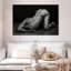 Bodyscape VI-108115620