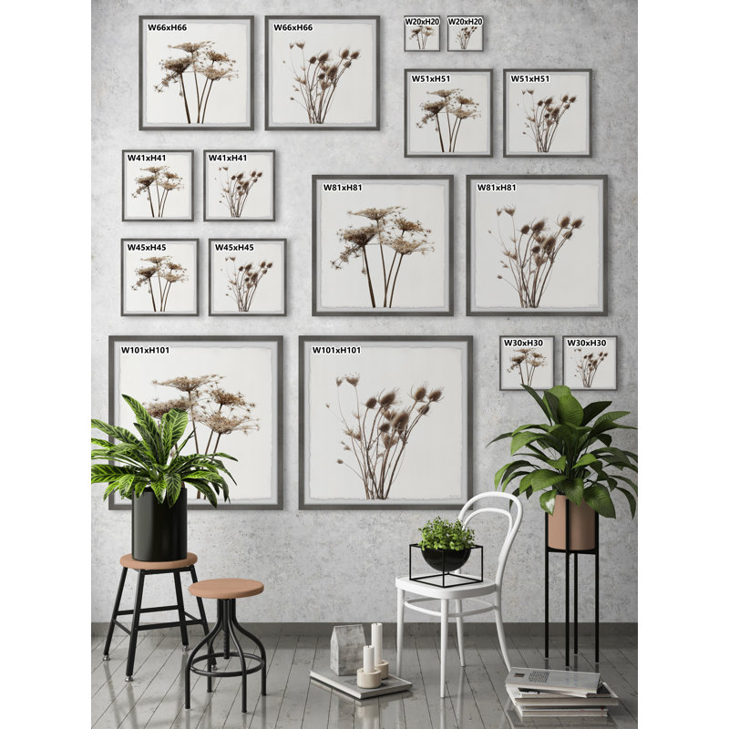 Dried Out Dandelion by Marmont Hill - 2 Piece Single Picture Frame Painting Set, 30"H x 30" W x 3.81"D