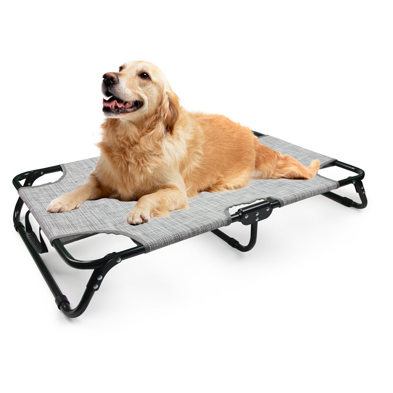 Lit surélevé pour chien, H 7,1 po x l 35,4 po x P 24 po