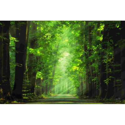" Bright Lights " by Martin Podt
