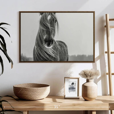 Cheval d'hiver