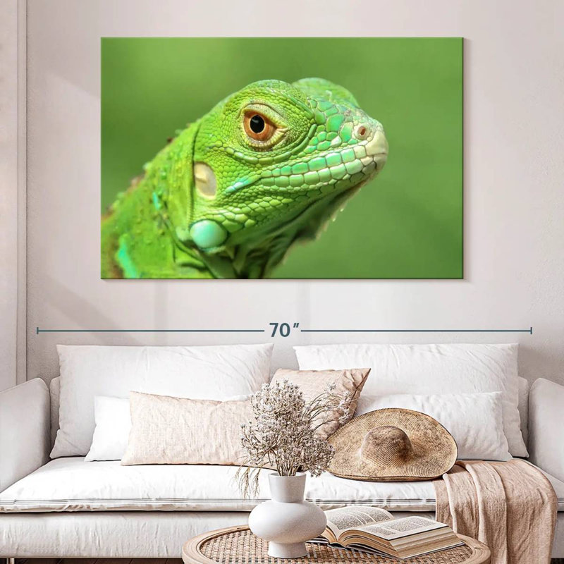 Green Lizard Closeup, 34" H x 51" W
