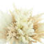 Faux Pampas Grass Grass in Ceramic Vase